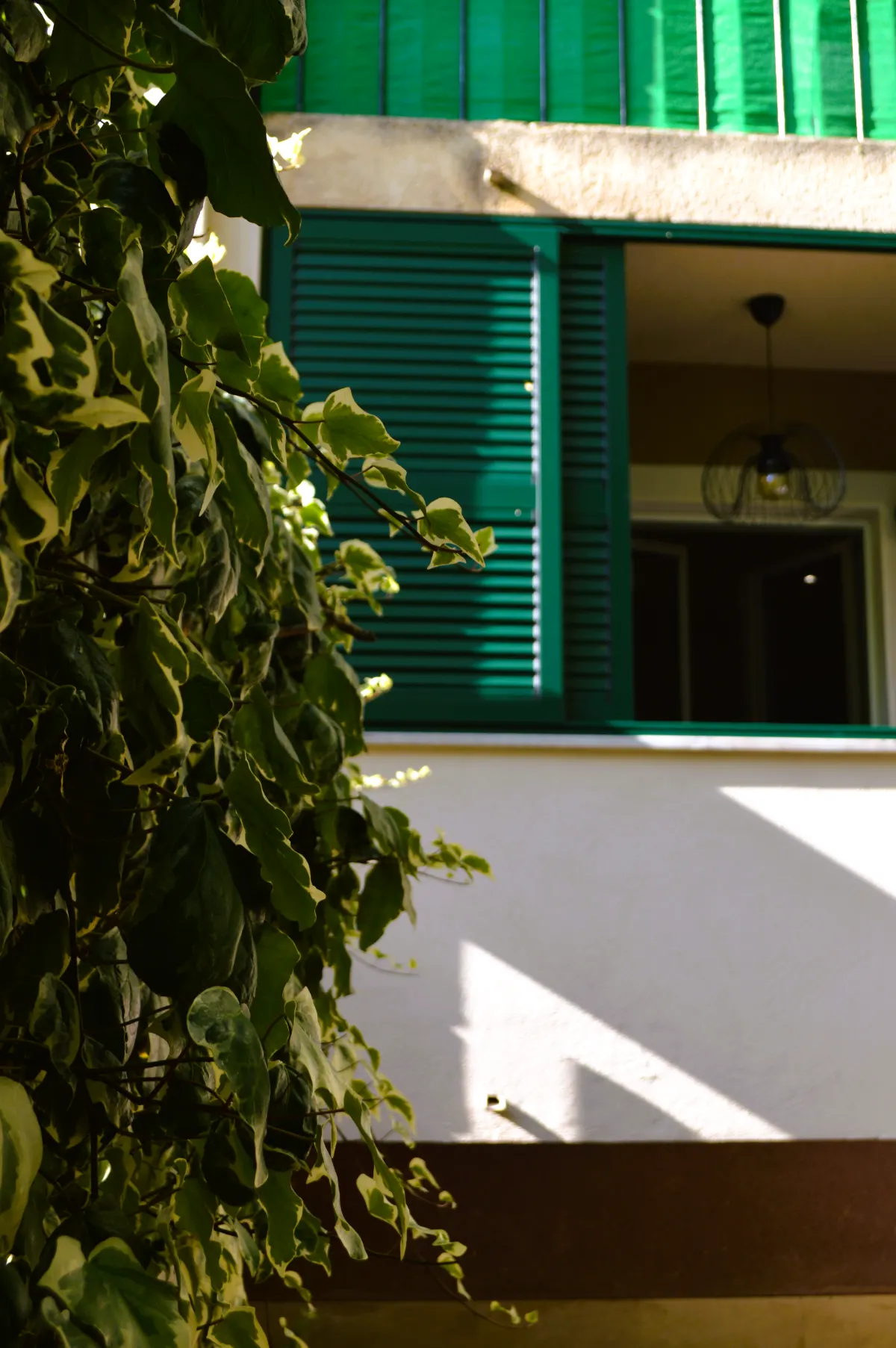 Green shutters on a Split window